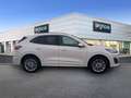 Ford Kuga 2.5 Duratec PHEV 165kW Auto Vignale Bianco - thumbnail 3