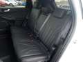 Ford Kuga 2.5 Duratec PHEV 165kW Auto Vignale Bianco - thumbnail 10