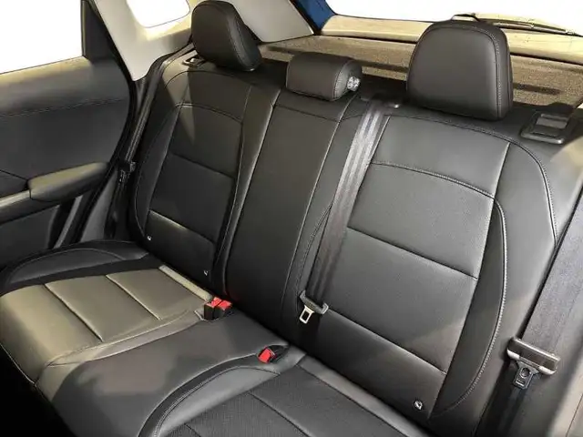 MG ZS view 9
