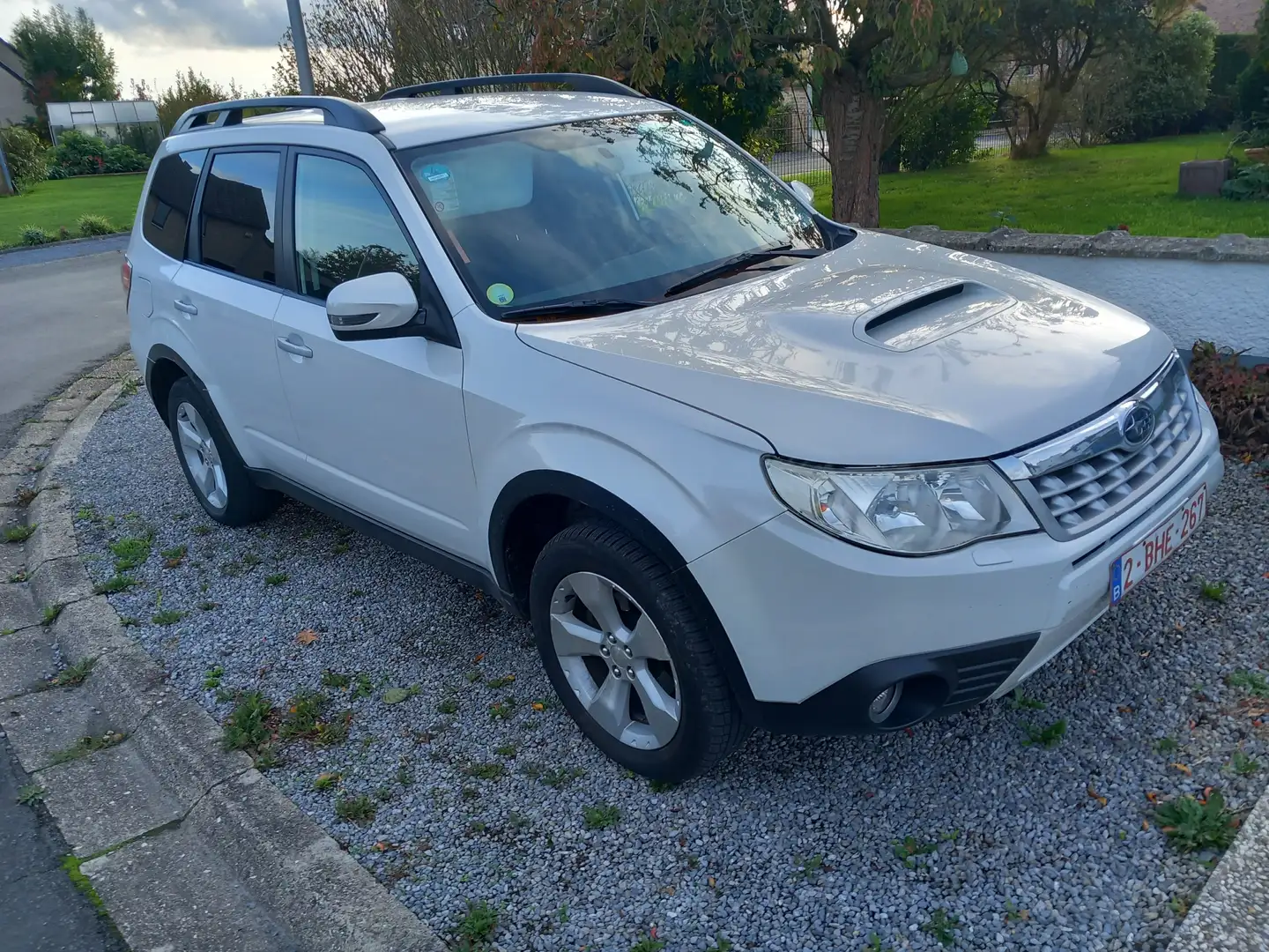 Subaru Forester Forester 2.0 D Comfort Wit - 2