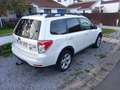 Subaru Forester Forester 2.0 D Comfort Blanc - thumbnail 1