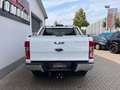Ford Ranger Limited Doppelkabine 4x4*Kamera* Weiß - thumbnail 4