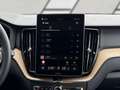 Volvo XC60 T6 AWD PHEV 18,8kWh Plus Bright Aut. Grün - thumbnail 14