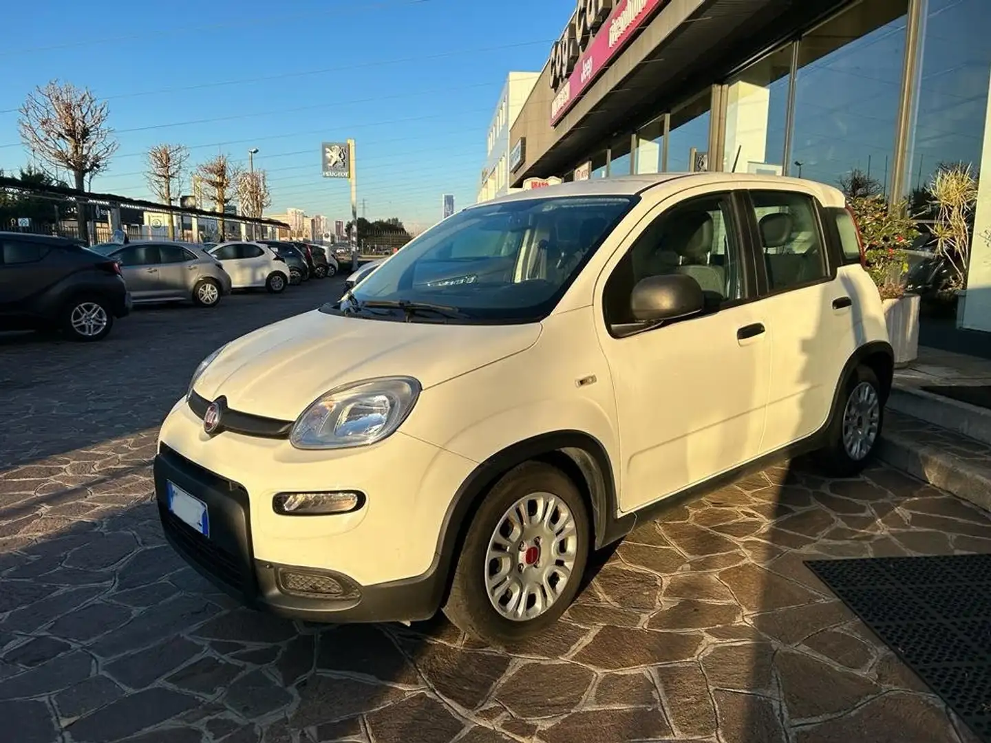 Fiat Panda Panda 1.0 firefly hybrid 70CV Bianco - 1