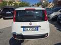 Fiat Panda 1.0 FireFly S&S Hybrid Eas 5 posti no obbligo fina Bianco - thumbnail 8