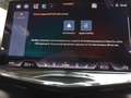 CUPRA Tavascan Tavascan Endurance Business 286ch (210kW) v 77 kWh Rear Wheel Drive Gris - thumbnail 18
