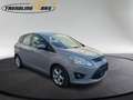 Ford C-Max C-MAX Ambiente 1,6 TDCi Grau - thumbnail 8