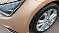SEAT Ibiza Xcellence Beige - thumbnail 15