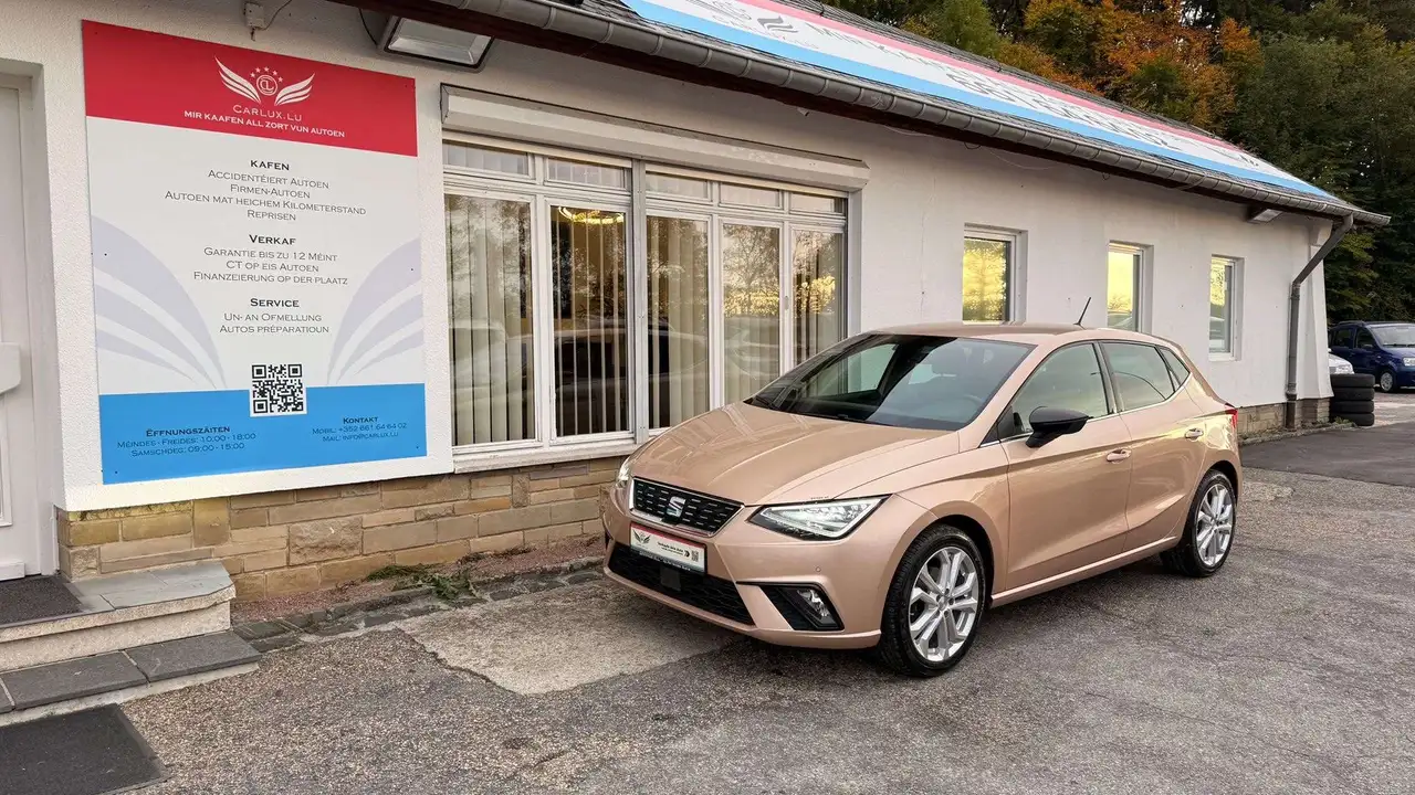 Seat Ibiza Xcellence