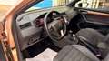 SEAT Ibiza Xcellence Beige - thumbnail 20