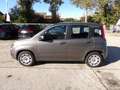 Fiat Panda 1.2 EasyPower Easy Grigio - thumbnail 2