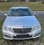 Mercedes-Benz E 220 E 220 CDI Avantgarde, BlueEfficiency (212.002) Gris - thumbnail 18