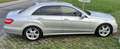 Mercedes-Benz E 220 E 220 CDI Avantgarde, BlueEfficiency (212.002) Gris - thumbnail 21