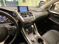 Lexus NX 300 300h Executive 4WD + Navibox Gris - thumbnail 17