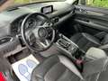 Mazda CX-5 CD175 4WD Revolution TOP *AHK*Head-Up Display* Rojo - thumbnail 13