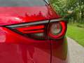 Mazda CX-5 CD175 4WD Revolution TOP *AHK*Head-Up Display* Rojo - thumbnail 10