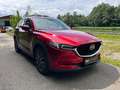 Mazda CX-5 CD175 4WD Revolution TOP *AHK*Head-Up Display* Rojo - thumbnail 7