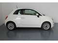 Fiat 500 1.2i - 69 BERLINE Lounge PHASE 2 Blanc - thumbnail 3