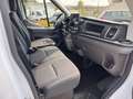 Ford TRANSIT LH2  KM0   2.0TDCI 131CV  PREZZO+IVA Bianco - thumbnail 6