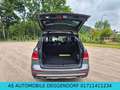 Mercedes-Benz GLE 250 d 4Matic-AHK-LED-SHZ-KAMERA-EURO6 Grau - thumbnail 13