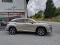 Lexus RX 450h RX 450h E-four Executive Executive Silber - thumbnail 1