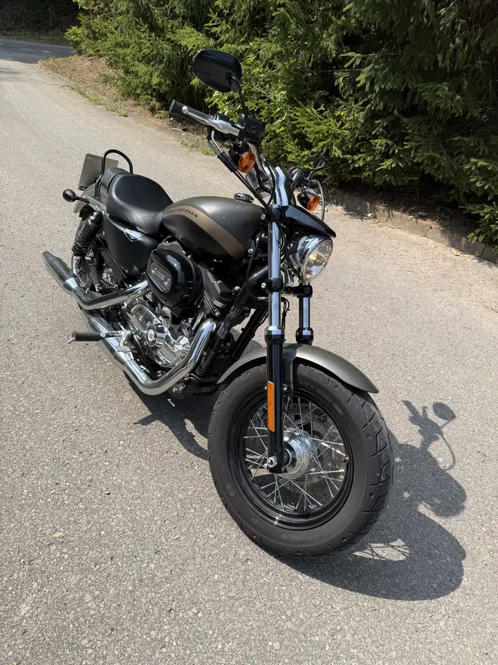 Harley-Davidson 1200 Custom