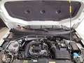 Volkswagen T-Roc 1.0 TSI GOAL +LED+ACC+NAVI+APP+ALU+KLIMA++ Blanc - thumbnail 7