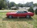 Ford Mustang Cabrio, S-Code, 390ci V8 BigBlock, Top-Gelegenheit Rot - thumbnail 15