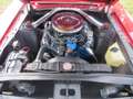 Ford Mustang Cabrio, S-Code, 390ci V8 BigBlock, Top-Gelegenheit Rouge - thumbnail 12