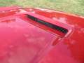 Ford Mustang Cabrio, S-Code, 390ci V8 BigBlock, Top-Gelegenheit Rouge - thumbnail 4