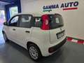 Fiat Panda 1.0 HYBRID BIANCA 5° POSTO FATTURABILE IVA Wit - thumbnail 5