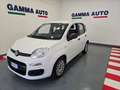 Fiat Panda 1.0 HYBRID BIANCA 5° POSTO FATTURABILE IVA Wit - thumbnail 6