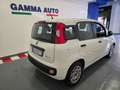 Fiat Panda 1.0 HYBRID BIANCA 5° POSTO FATTURABILE IVA Wit - thumbnail 3