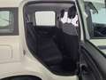 Fiat Panda 1.0 HYBRID BIANCA 5° POSTO FATTURABILE IVA Wit - thumbnail 10