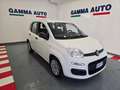 Fiat Panda 1.0 HYBRID BIANCA 5° POSTO FATTURABILE IVA Wit - thumbnail 2