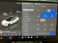 Tesla Model 3 Standard Range **MwSt. ausweisbar Bianco - thumbnail 18