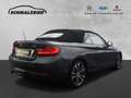 BMW 220 Cabrio Sportpaket Navi Leder Memory Sitze Soundsys Grey - thumbnail 3