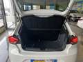 SEAT Ibiza 1.6TDI CR S&S Reference Plus 80 Blanco - thumbnail 11