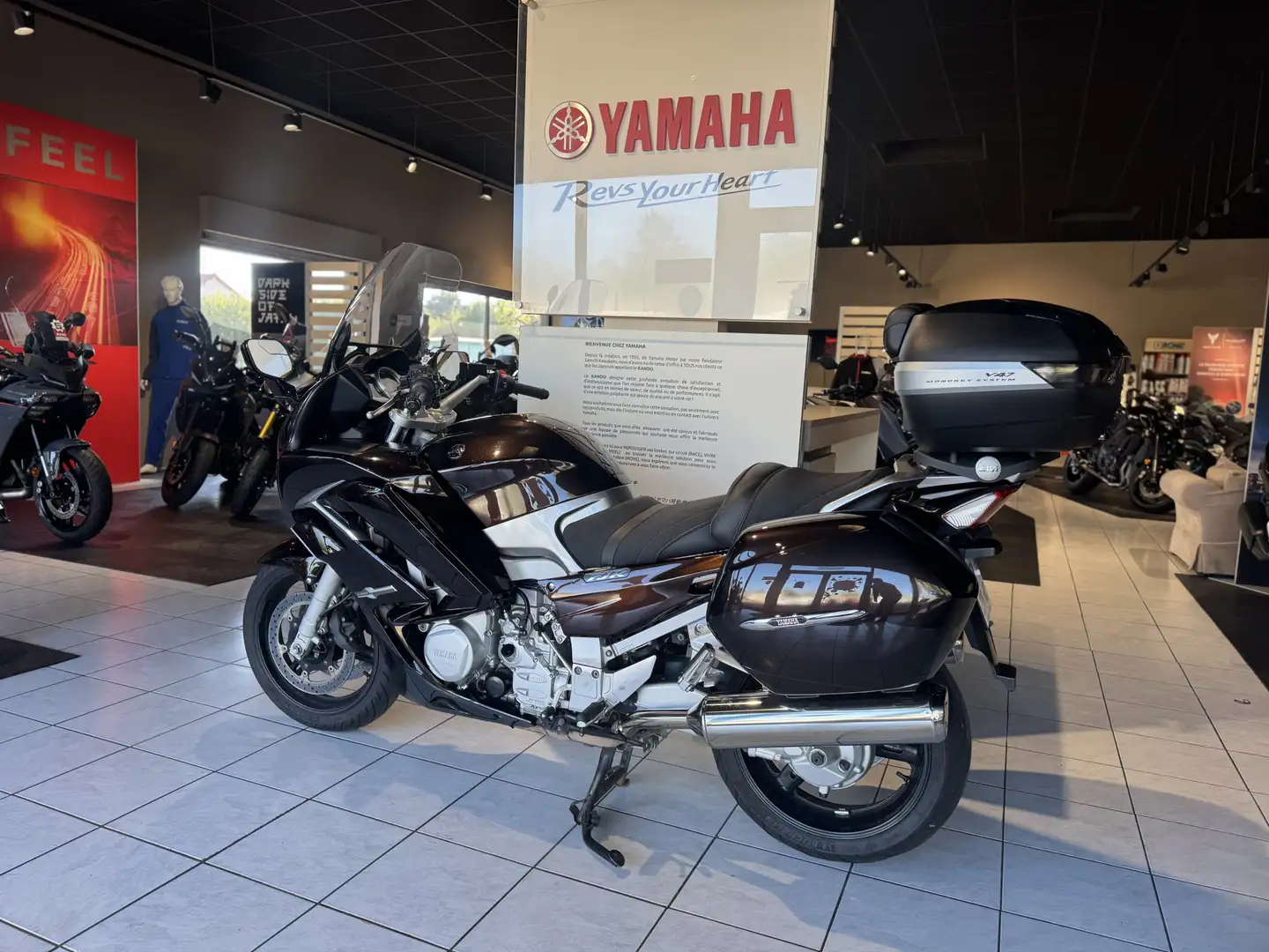 Yamaha FJR 1300 Braun - 2