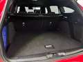 Ford Focus SW 1.0t ecoboost h ST-Line X 125cv Rosso - thumbnail 20