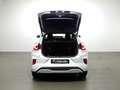Ford Puma 1.0 ECOBOOST 92KW MHEV ST-LINE X 125CV 5P Blanco - thumbnail 6