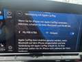 Volkswagen Golf VIII 1.5 TSI Life OPF Grau - thumbnail 14