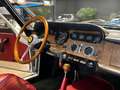 Ferrari 330 GT 2+2 Blanc - thumbnail 20