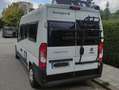 Fiat Ducato Sunlight Cliff 600 Weiß - thumbnail 2