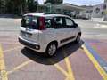 Fiat Panda 1.2 Gasolina/GLP Lounge Weiß - thumbnail 23