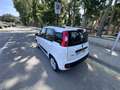 Fiat Panda 1.2 Gasolina/GLP Lounge Weiß - thumbnail 7