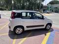 Fiat Panda 1.2 Gasolina/GLP Lounge Weiß - thumbnail 12