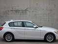 BMW 116 BMW 116i/ cruise control/scherm Blanco - thumbnail 5