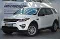 Land Rover Discovery Sport Discovery Sport 2,0 TD4 150 Pure A Weiß - thumbnail 1