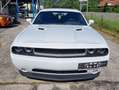 Dodge Challenger 5.7  V8 Wit - thumbnail 3